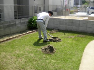 芝生の管理